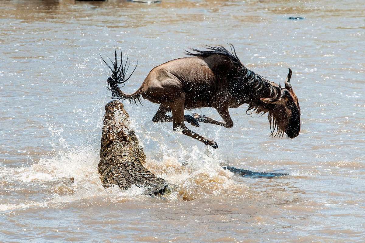 Maasai Mara National Reserve
