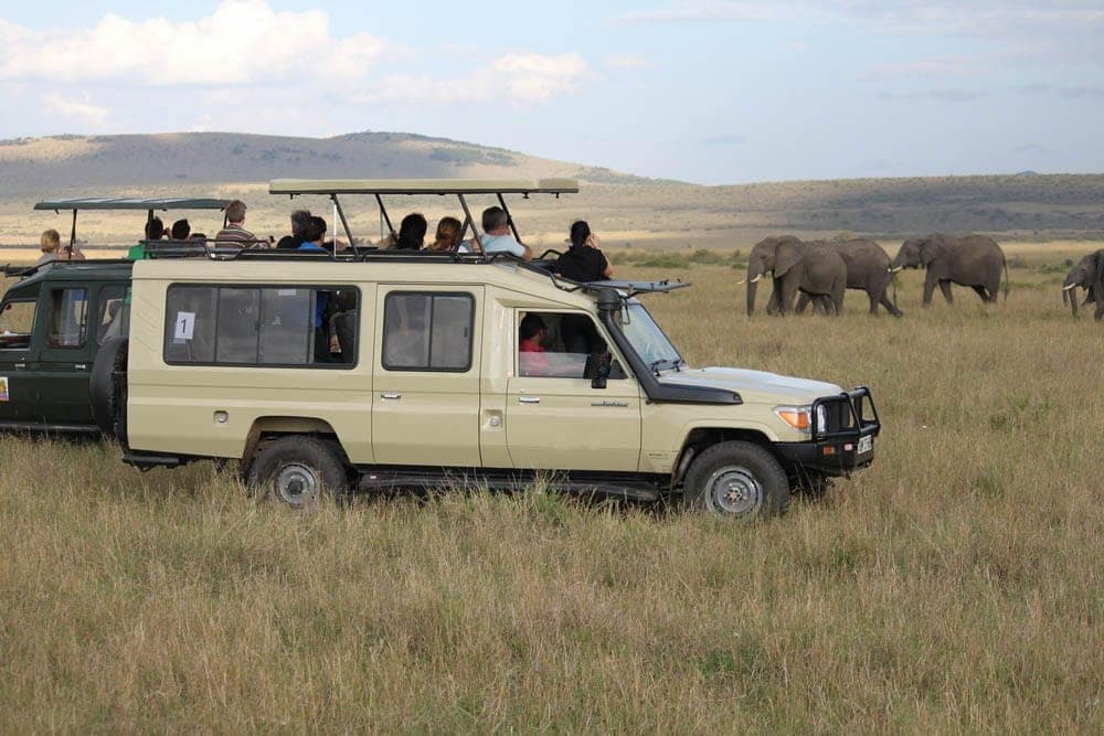 Game Drives