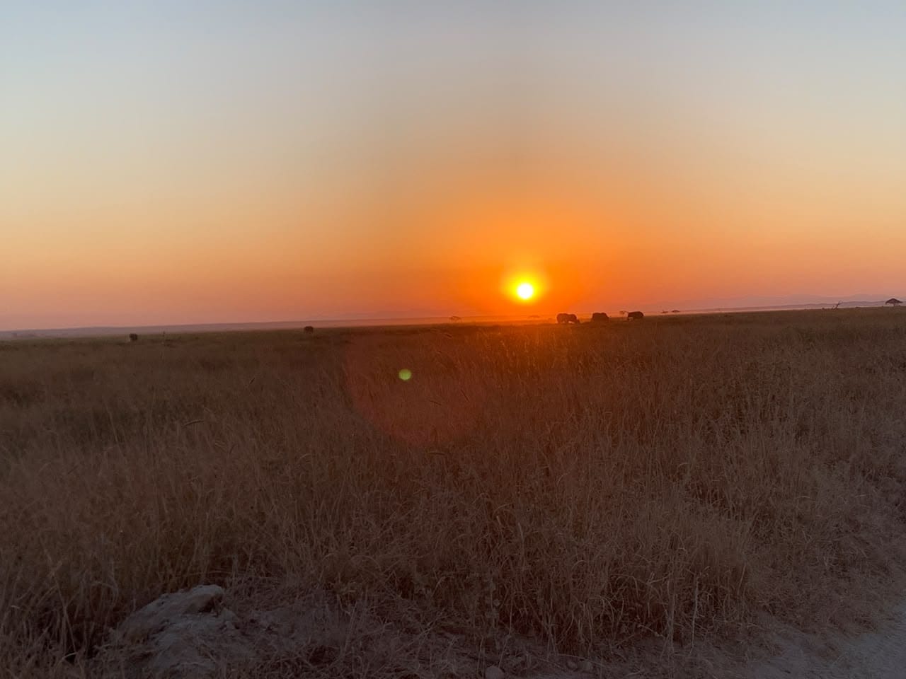 One Woman's Love for the Wild: The Wild Axis Story