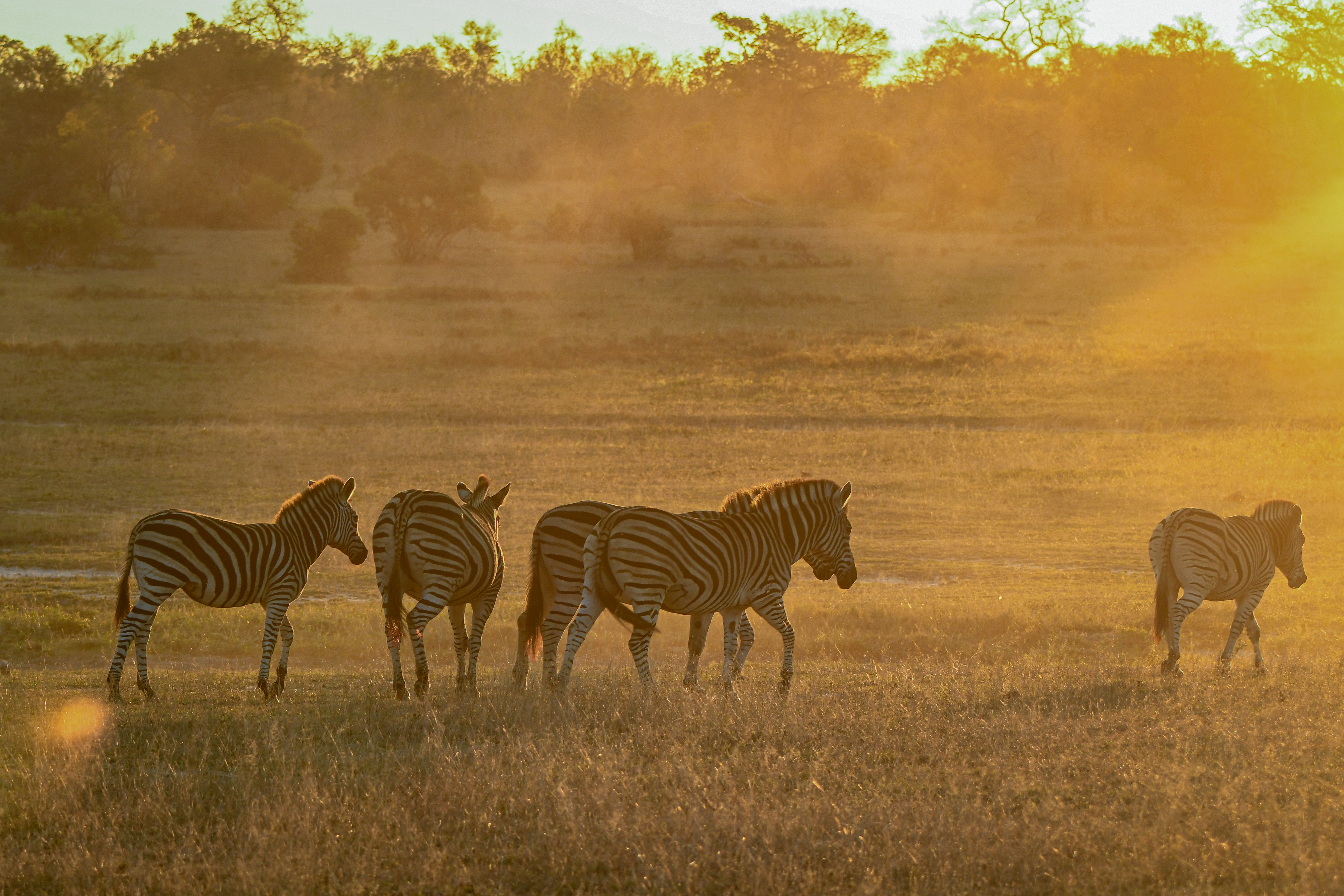Lake Nakuru & Maasai Mara Group Joining Safari